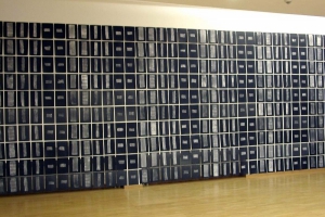 KunstSommer 2014: Friederike Ira Haas