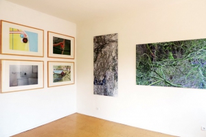 KunstSommer 2014_Denise Ritter, Ulrich Ludewig_2
