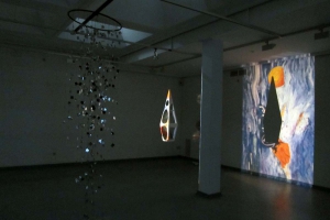 Kunsttag 2014_Haus_Seel_kunstlicht 1